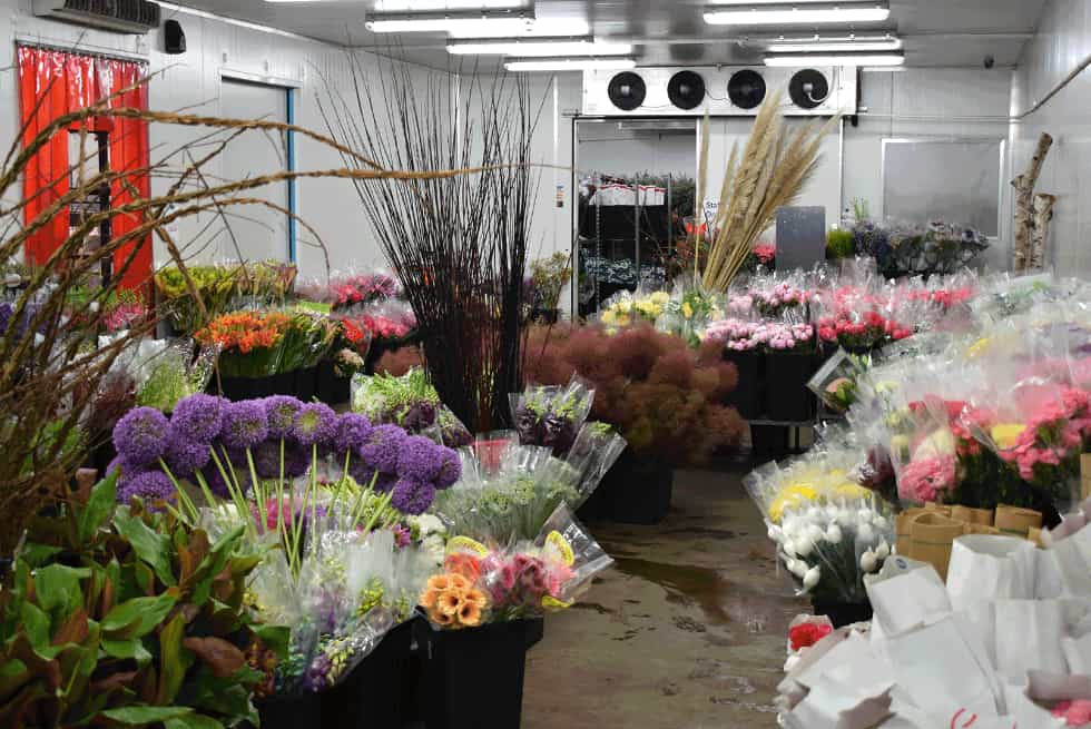 wholesale flowers in the Gold Coast