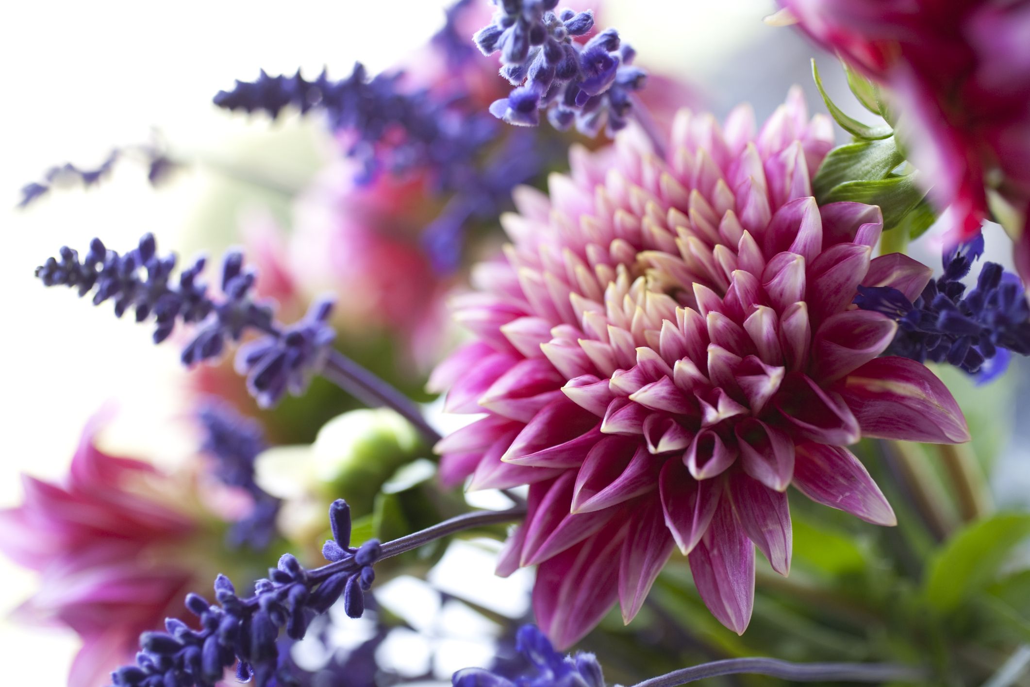 fresh flower Gold Coast