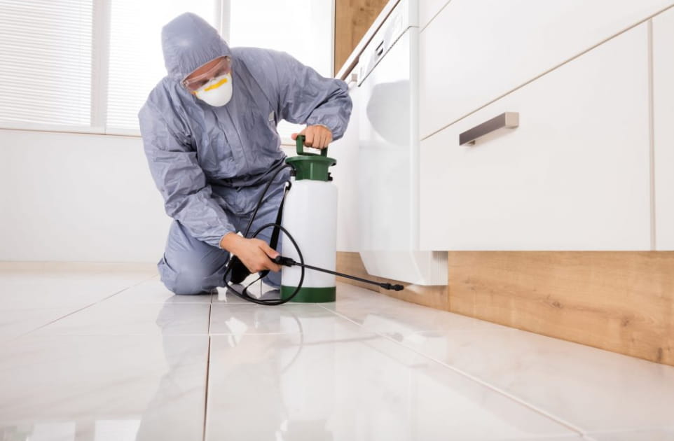 Gold Coast Pest Services