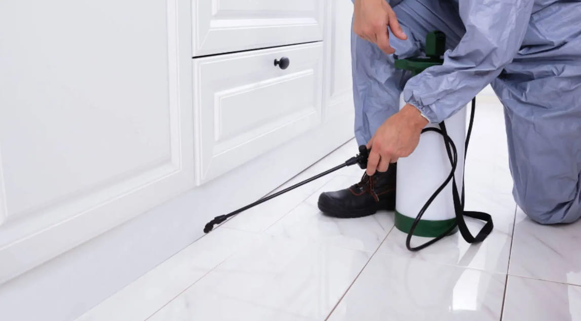 Gold Coast Pest Services