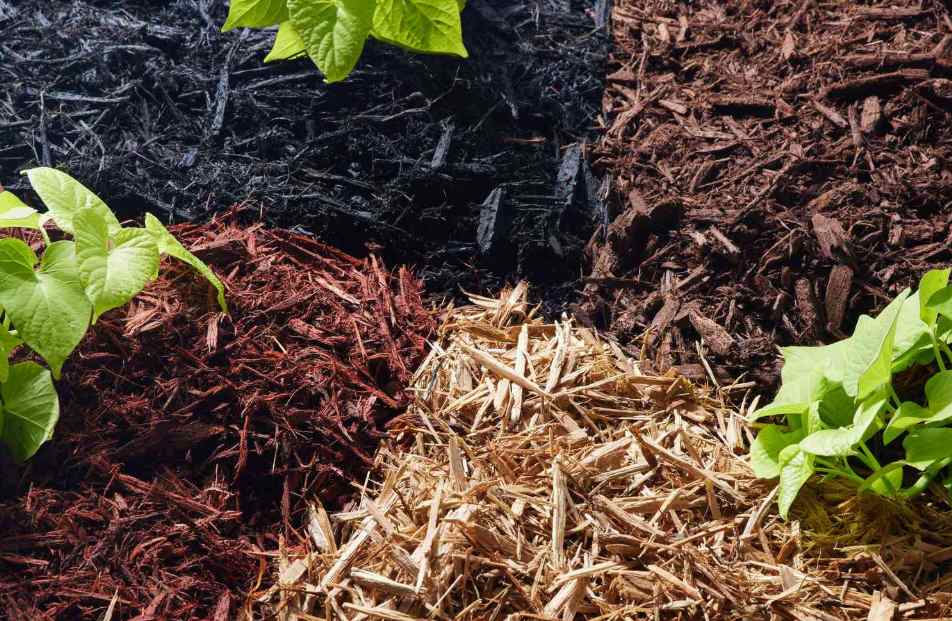 mulch Gold Coast